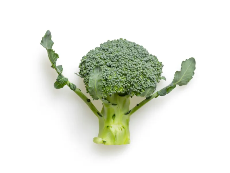 Broccoli